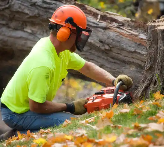 tree services Reading